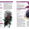 Kobold Press - Tome of Beasts II. Kobold Press - Tome of Beasts II.