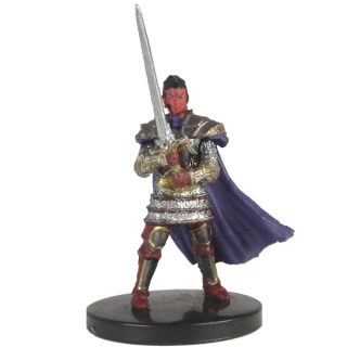 Dungeon of the Mad Mage Human Paladin of the Oath of Vengeance