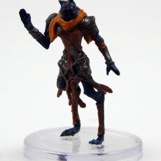 Anadi Hunter (Humanoid Form)