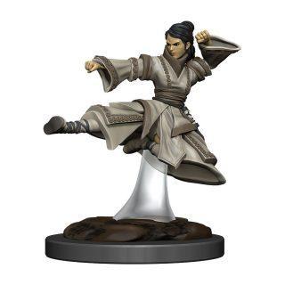 D&D Icons of the Realms Premium Miniature pre-painted Human Monk Female