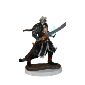 Pathfinder Painted Premium Male Elf Magus
