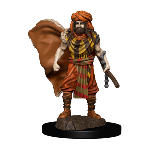 D&D Icons of the Realms Premium Painted Figure - Human Druid Male