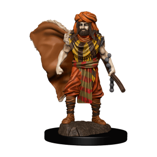 D&D Icons of the Realms Premium Painted Figure - Human Druid Male