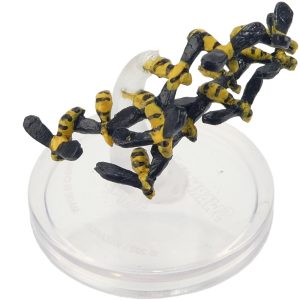 Swarm of Insects (Wasps) Swarm of Insects (Wasps)