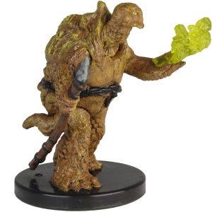 Tortle Druid Tortle Druid