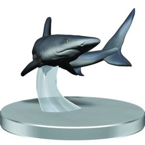 Reef Shark - Seas & Shores