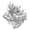 Shire Adventures - The Lord Of The Rings RPG Dungeons and Dragons 5th Edition