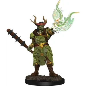 Half-Orc Druid Male - Pathfinder Battles