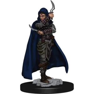 human rogue mini, pathfinder battles, pathfinder figura, előre festett figura, rogue miniature, d&d compatible mini, tabletop rpg mini, female rogue mini, gyűjtői mini
