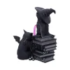 Curious Cauldron (18,5 cm) - Cult Cuties Figure 3 Curious Cauldron (18,5 cm) - Cult Cuties Figure 3