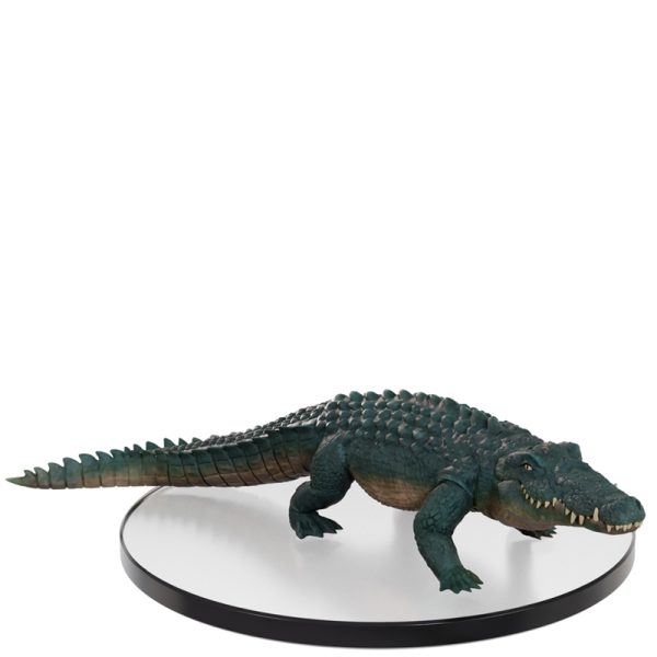 Crocodile (Greyish Green) - Ghost Light