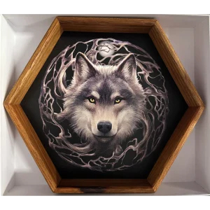 Night Forest (Anne Stokes) Wooden Dice Tray
